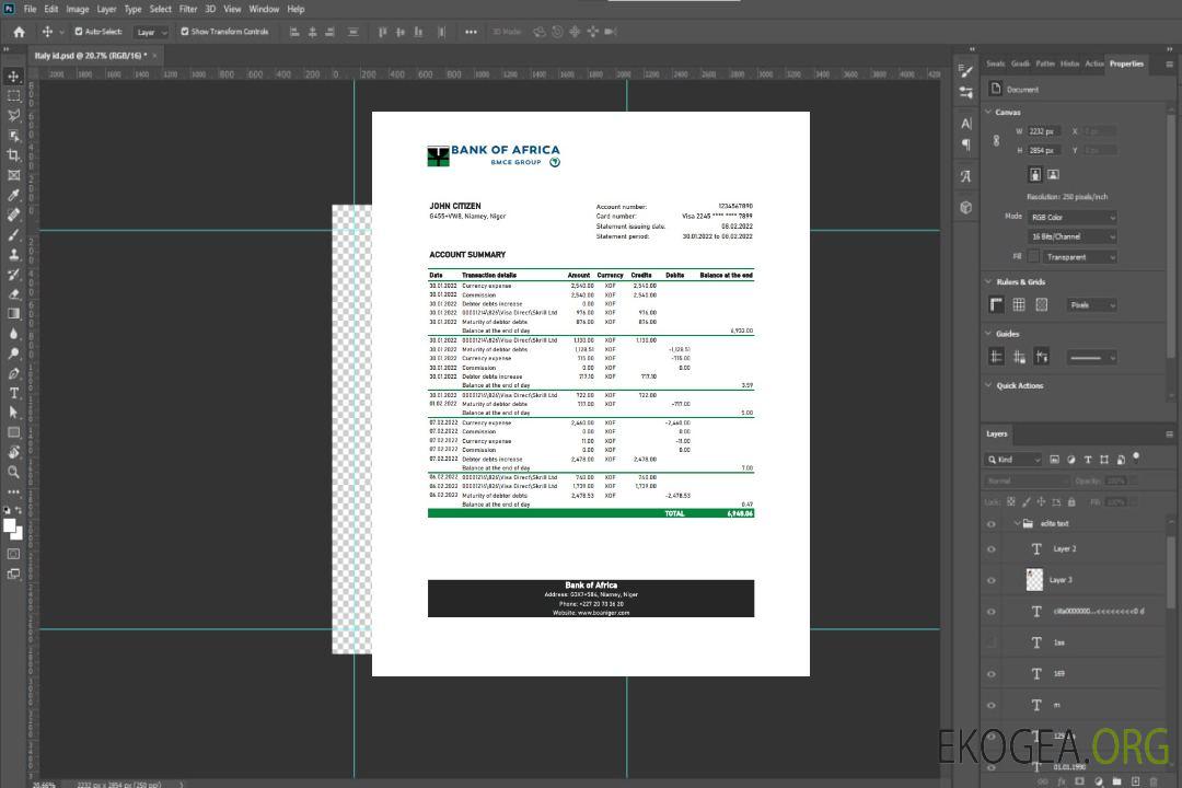 Relevé bancaire de la Niger Bank of Africa template Relevé bancaire de la Niger Bank of Africa template